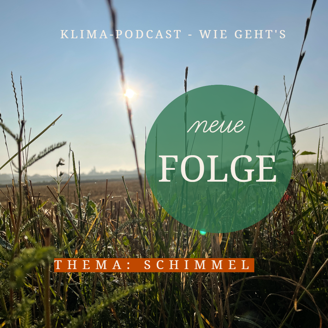 Podcast Schimmel 
